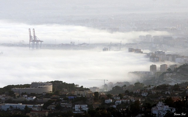Niebla Taró en Málaga